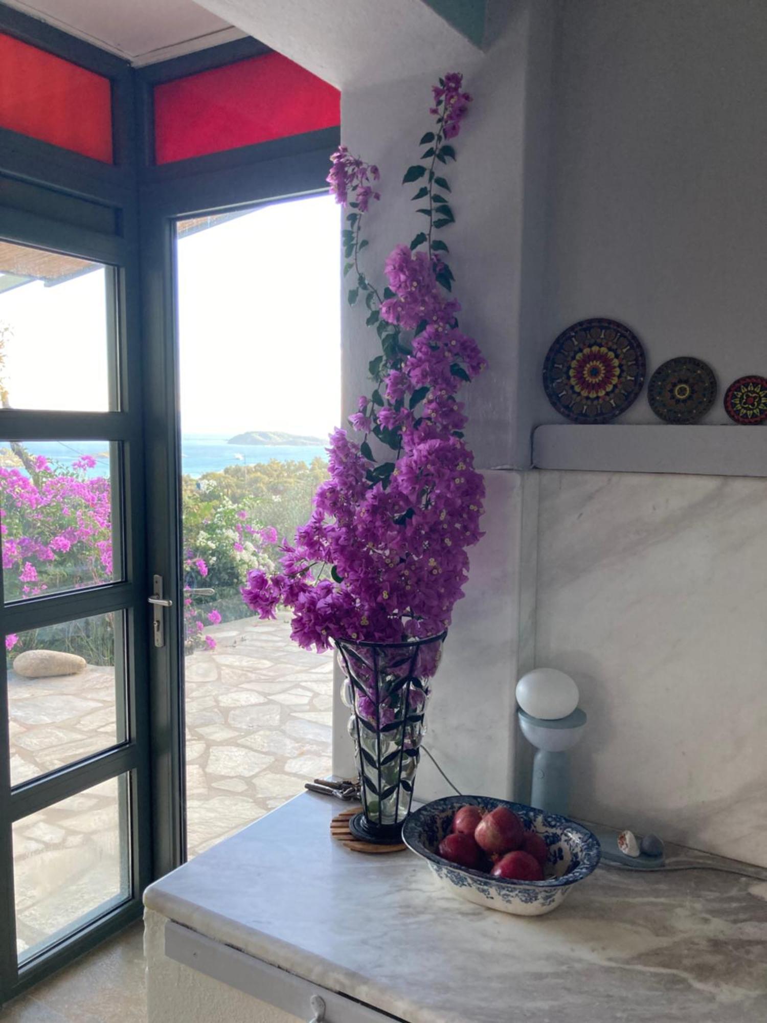 Tierra Villa Skiathos Exterior photo
