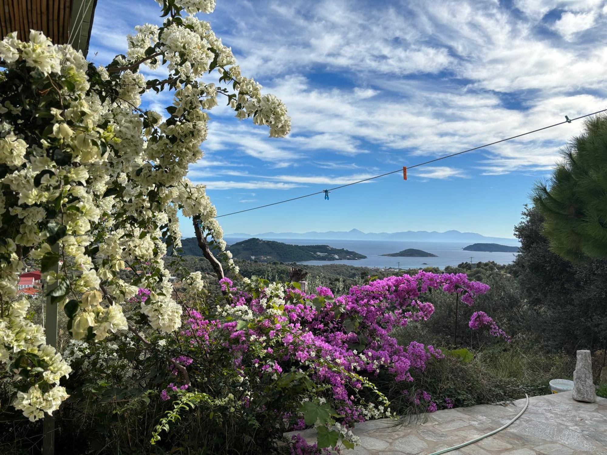Tierra Villa Skiathos Exterior photo