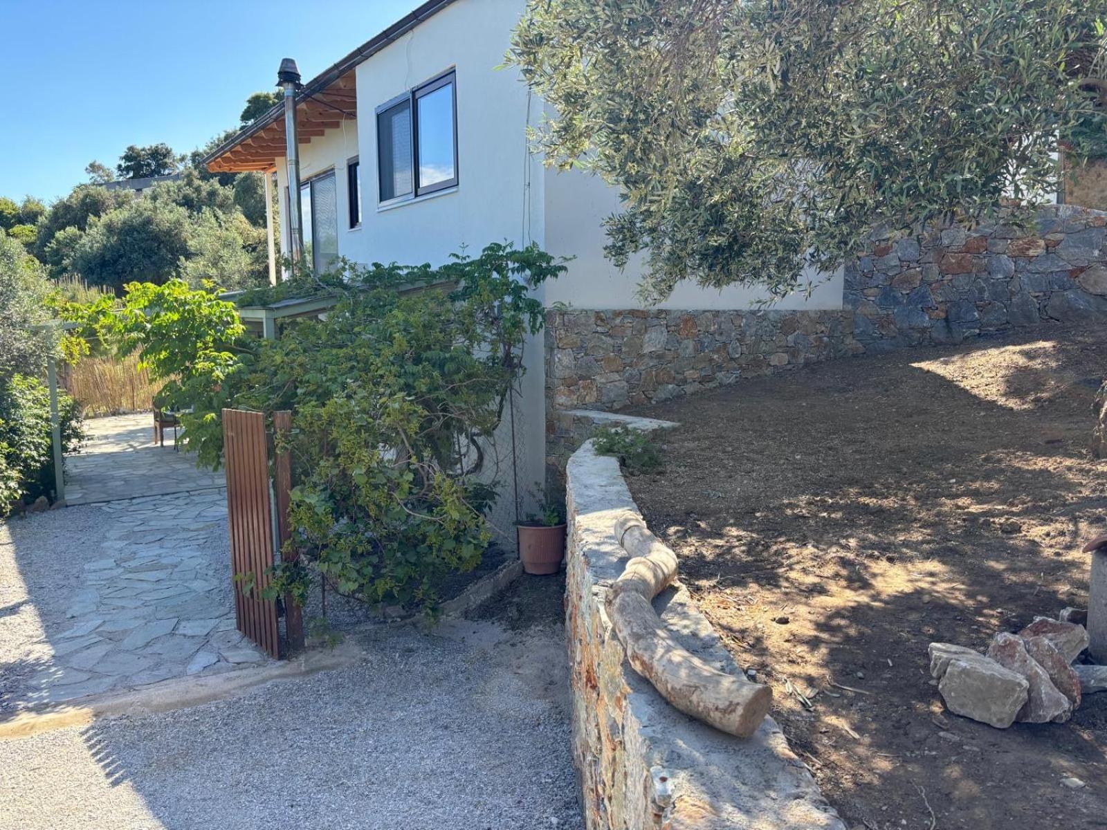 Tierra Villa Skiathos Exterior photo
