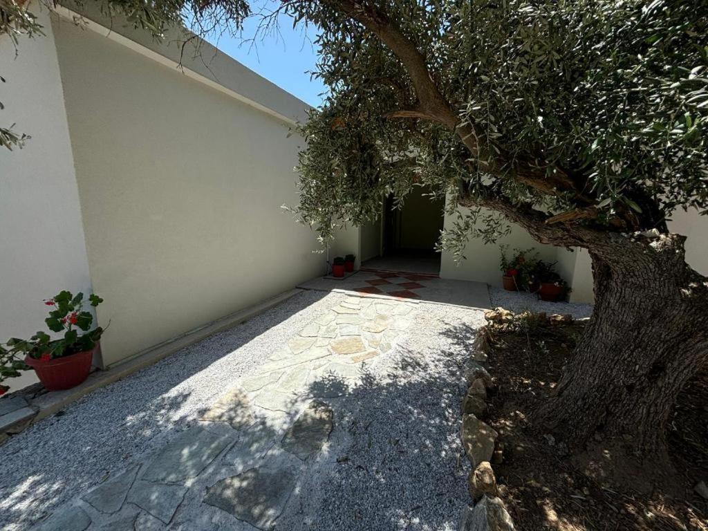 Tierra Villa Skiathos Exterior photo