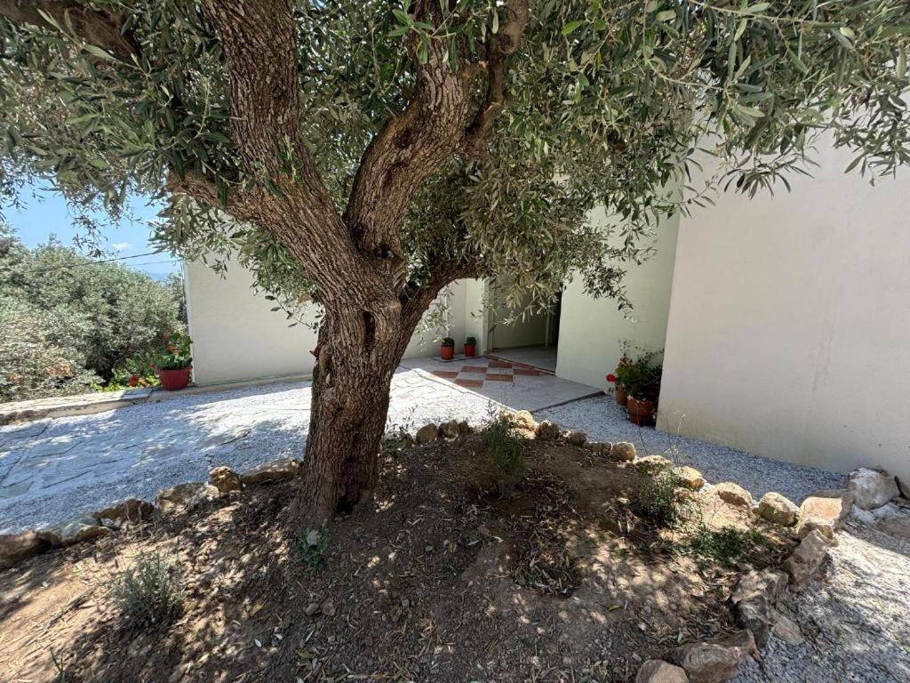 Tierra Villa Skiathos Exterior photo