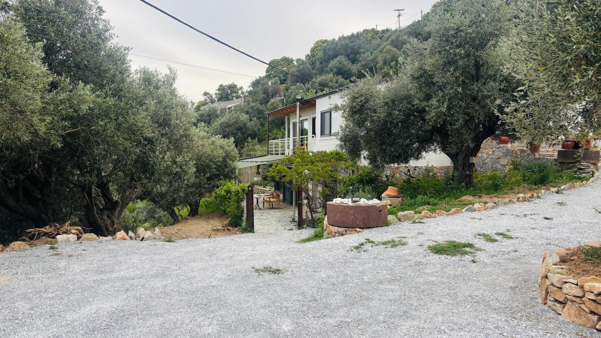 Tierra Villa Skiathos Exterior photo